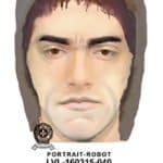 2016-091 Vol qualifié – portrait robot-Web