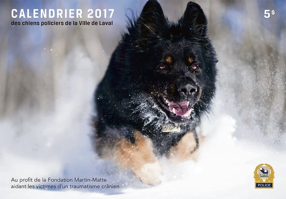 Laval Police dog calendars support traumatic brain injuries