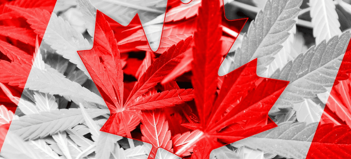 Laval submits brief to Quebec on marijuana use