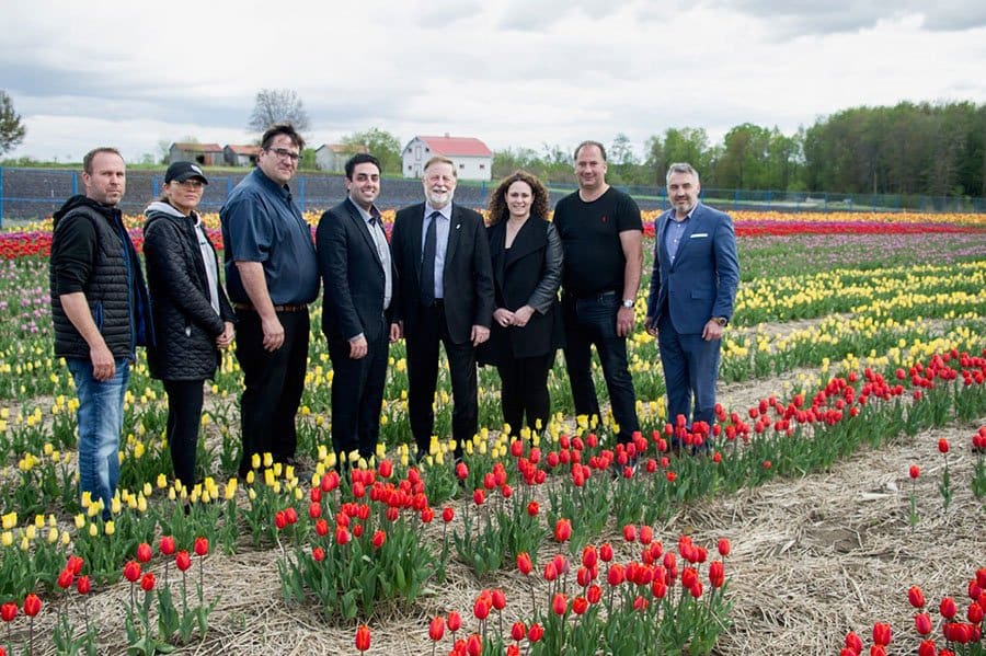 Tulip Festival time in Laval