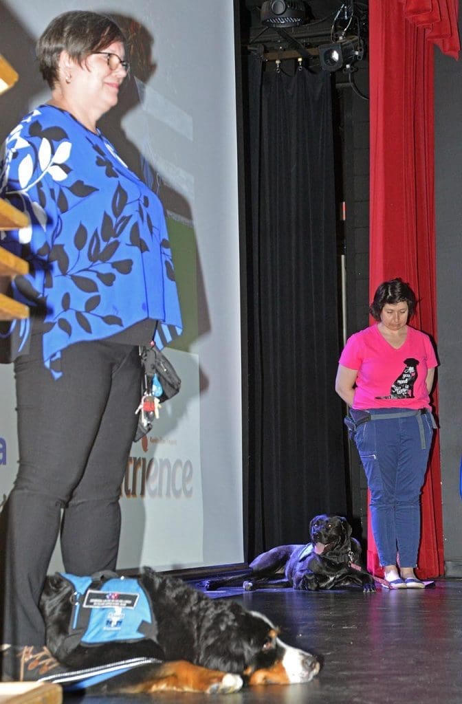 Hope and Wall-E join the staff at two Laval schools