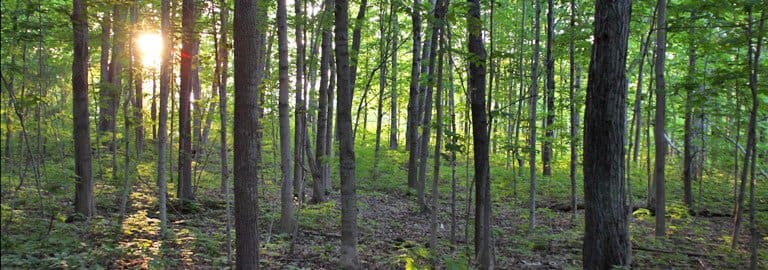 City of Laval marked Earth Day on April 22