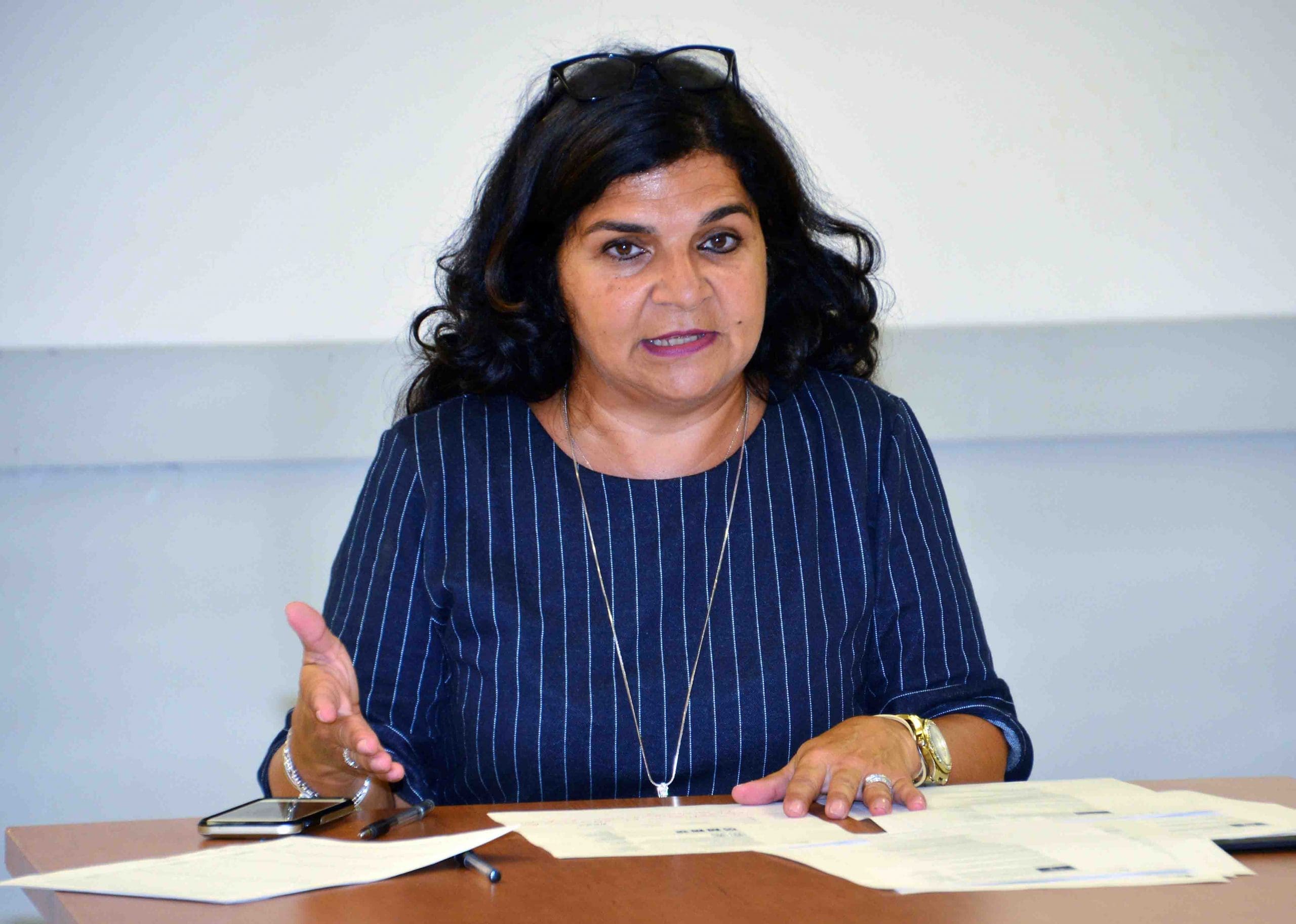 Revelakis wants city to set up committee for police/multicultural relations