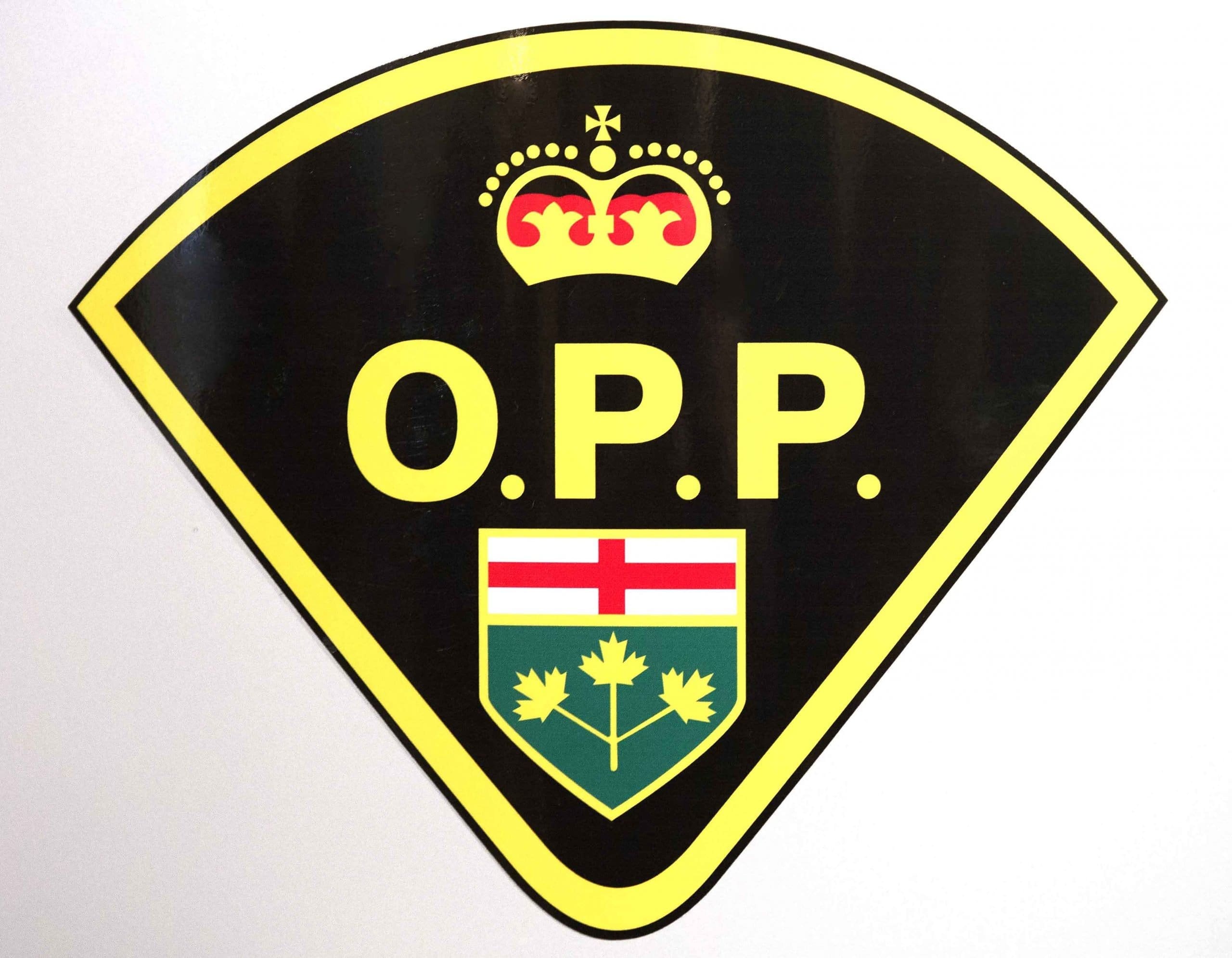 Laval man nailed on the 401 after driving ‘excessively slow’