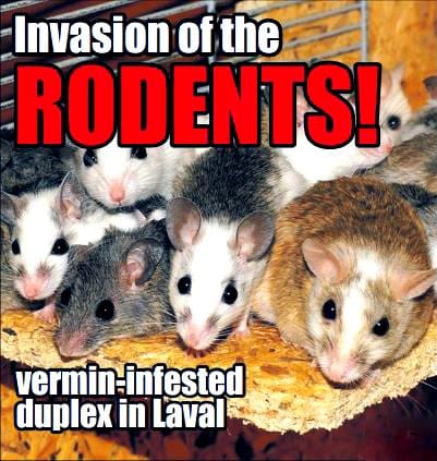 Neighbours of vermin-infested duplex plead for help