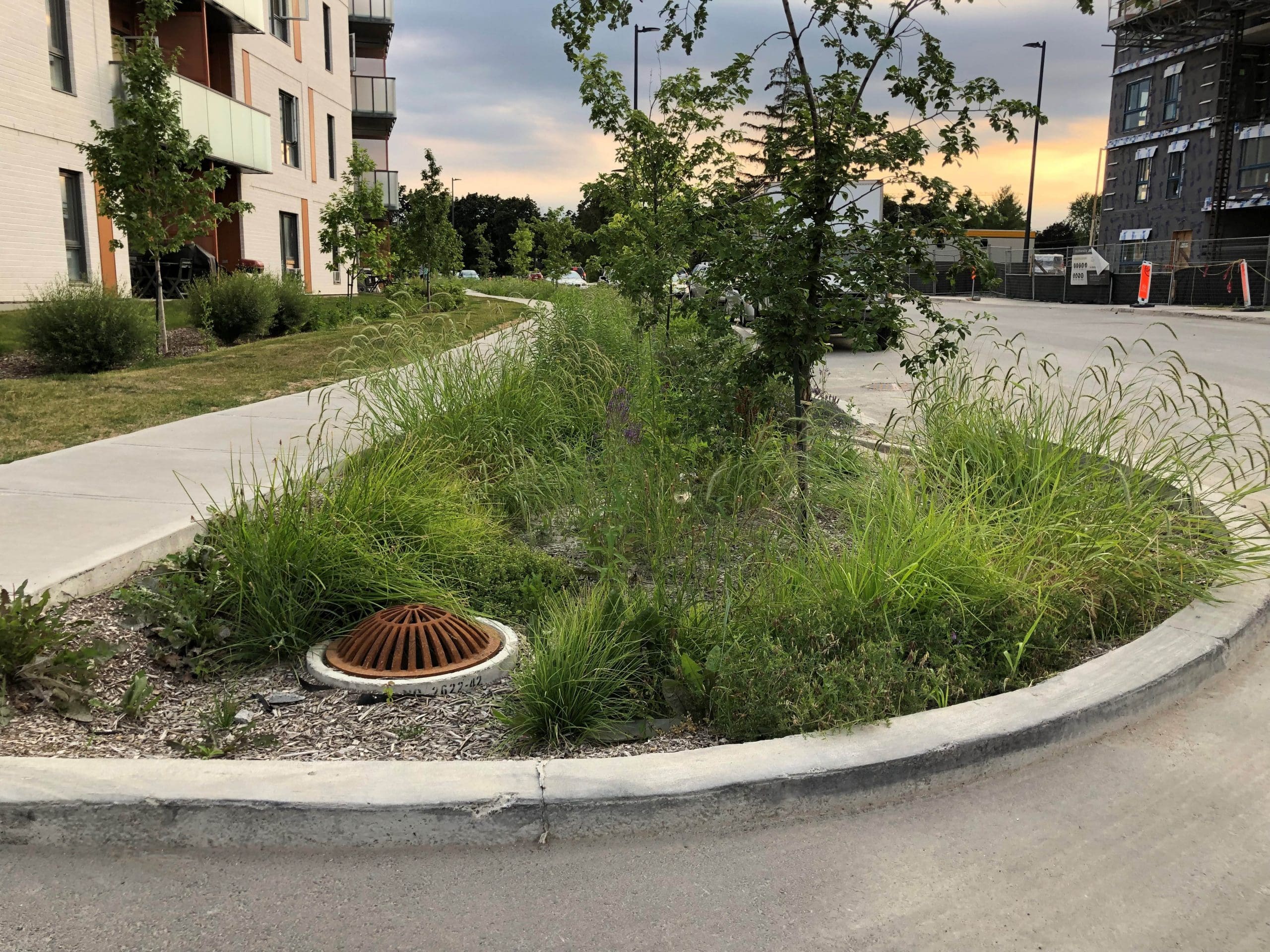 More ‘green’ sidewalk protrusions to be installed in Chomedey