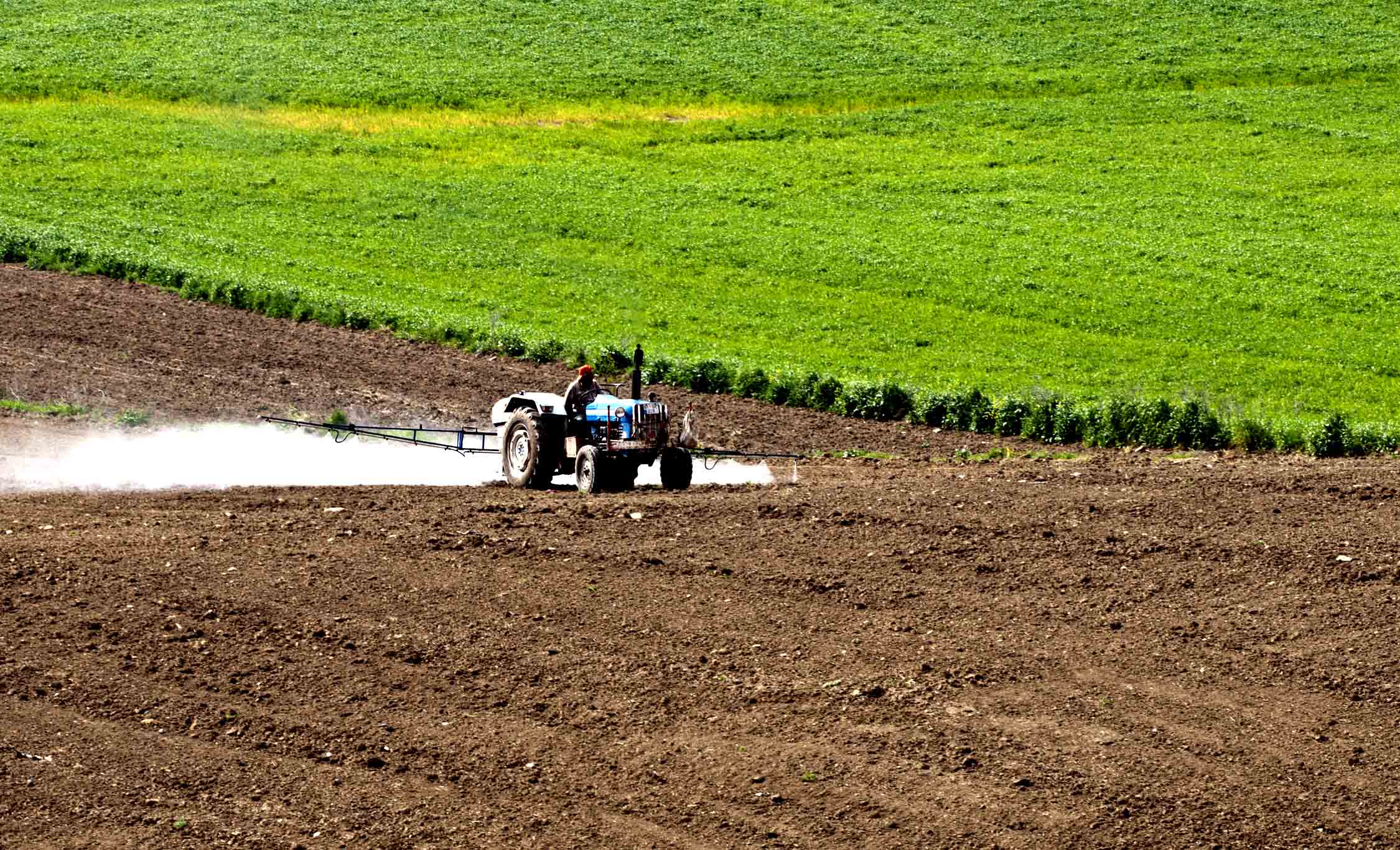 The glyphosate files:
