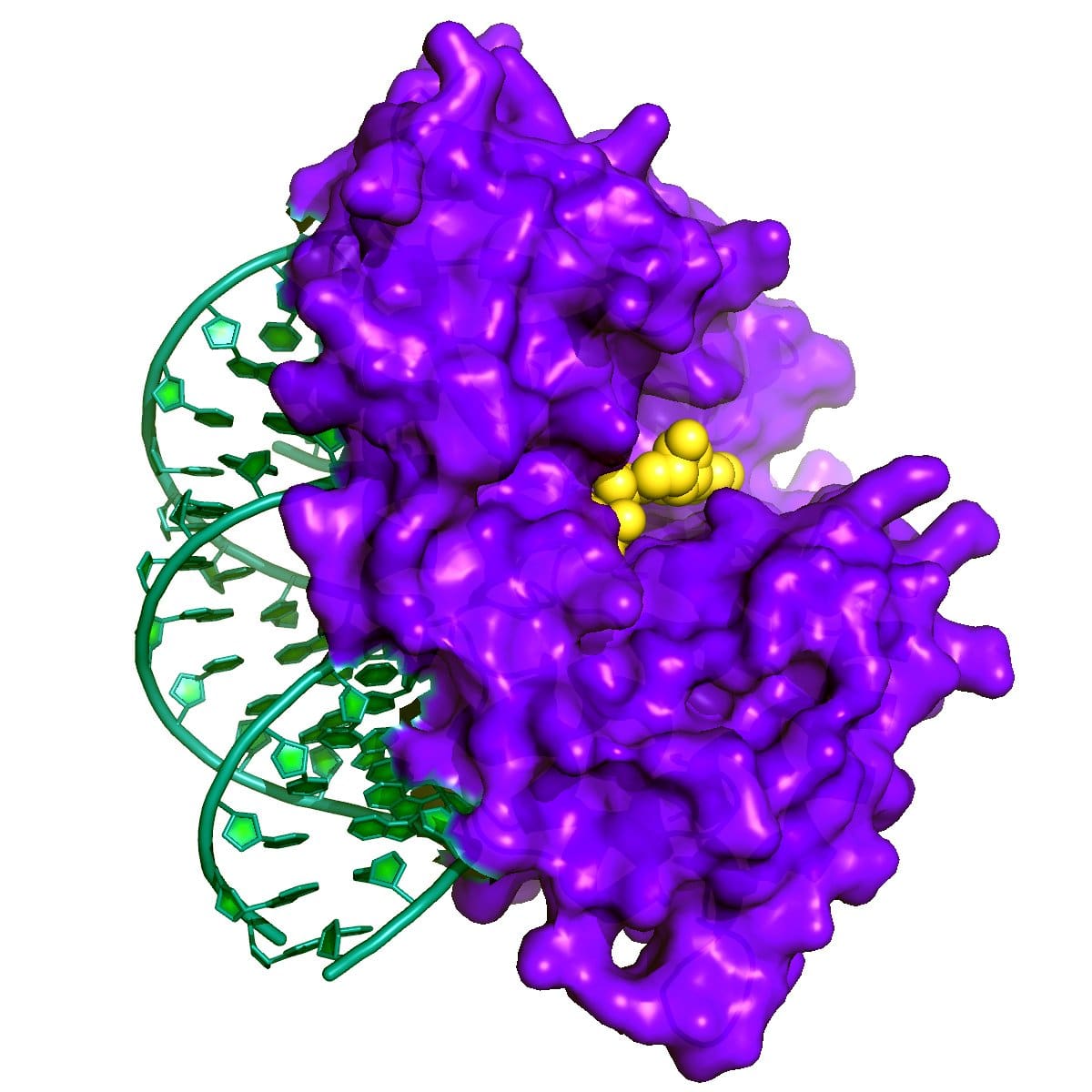 JGH research offers hope to help reduce COVID-19 suffering