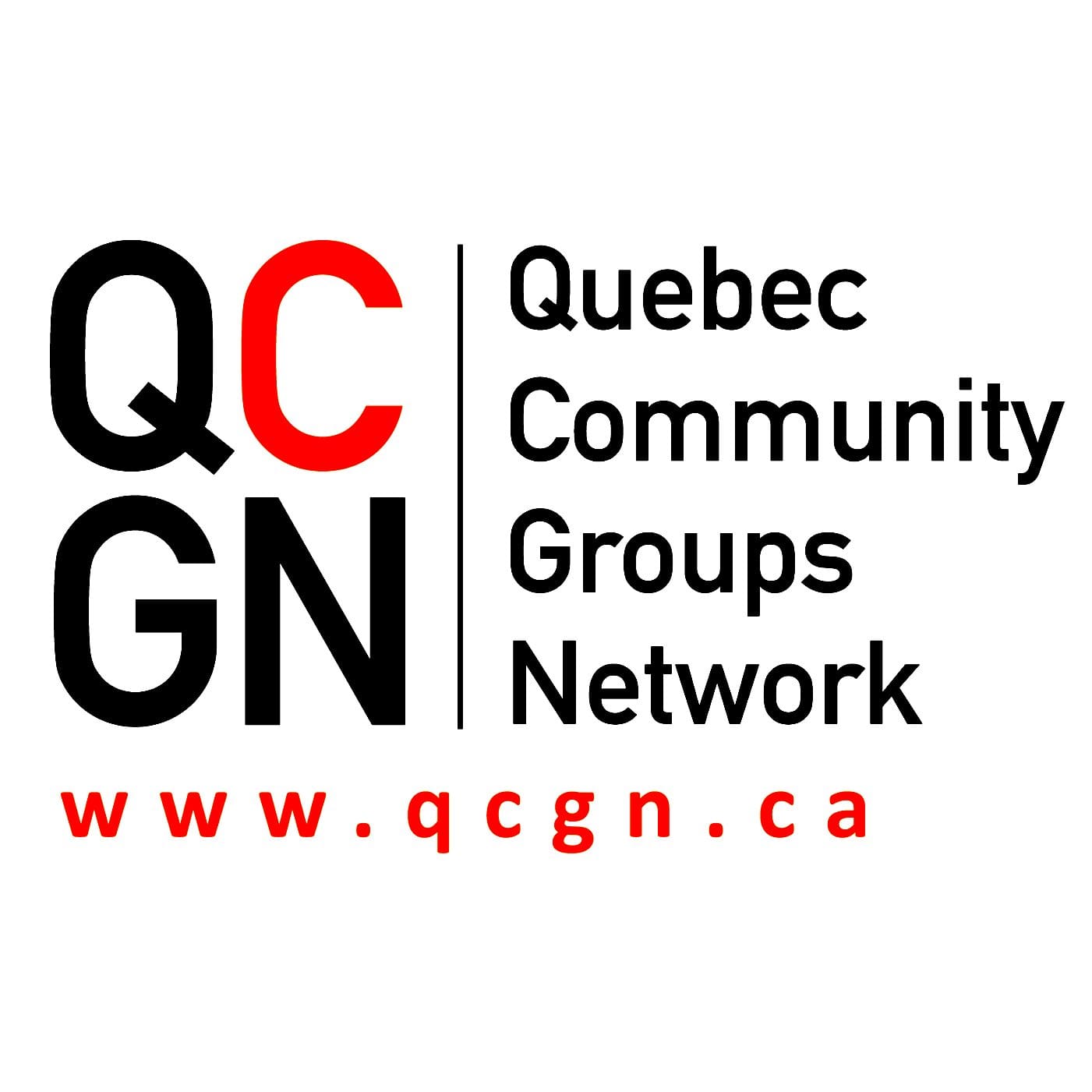 Bill 96 will set off a constitutional crisis, language rights lawyer tells QCGN