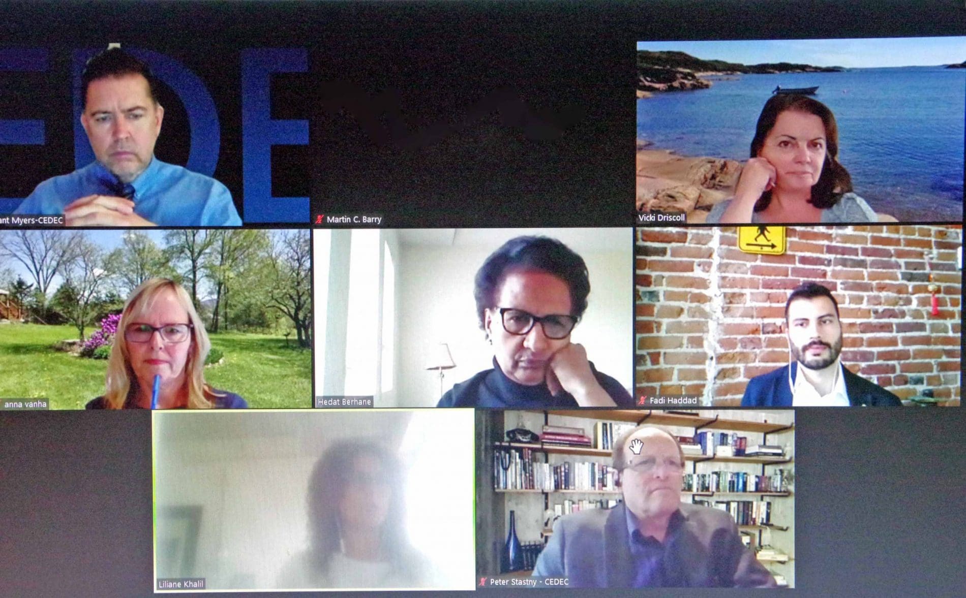 Pandemic impacted economic development of English communities in Quebec