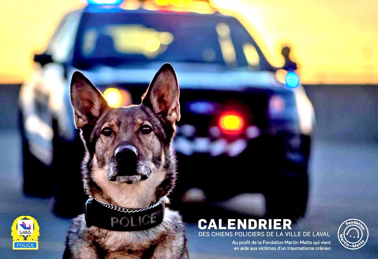 LPD Blue