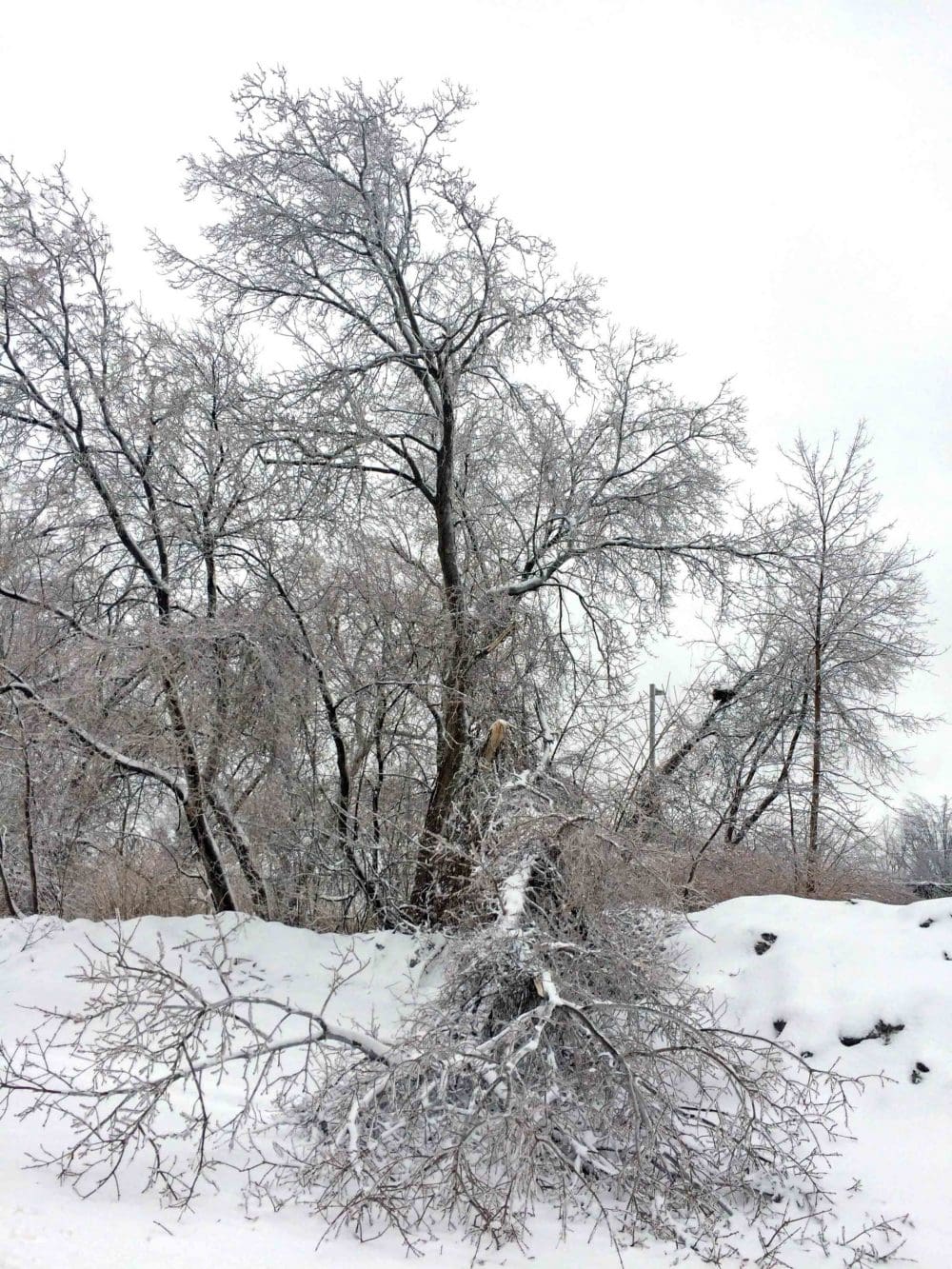 Meteorological Service of Canada issues ‘freezing rain’ warning