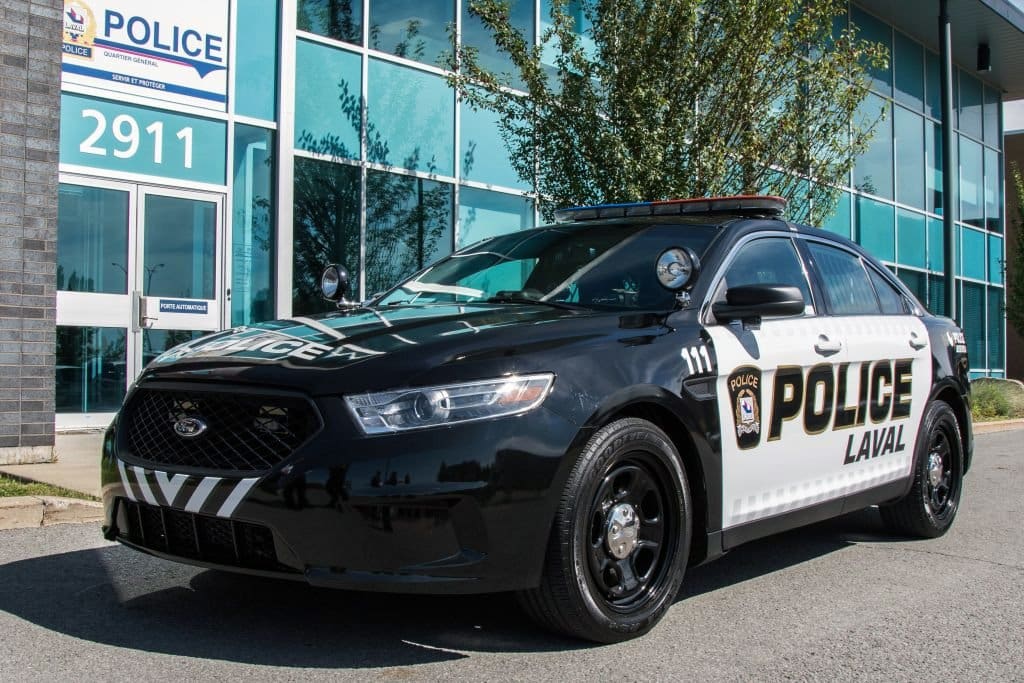 LPD make a major marijuana, hashish, cocaine and mushroom bust