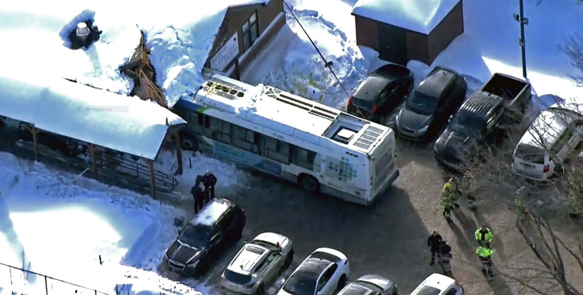Fatal bus crash driver ruled not criminally responsible