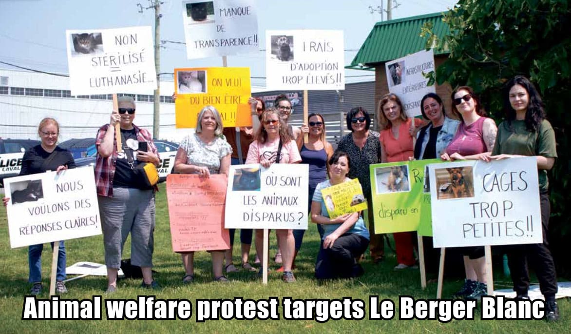 Protest targets Le Berger Blanc over animal welfare concerns