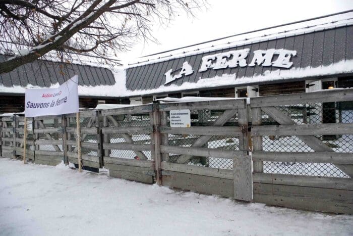 Isabelle Piché to get expert advice at Action Laval consultation on mini-farm